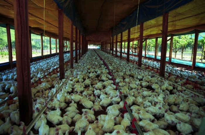 Foto: arquivo / Secom