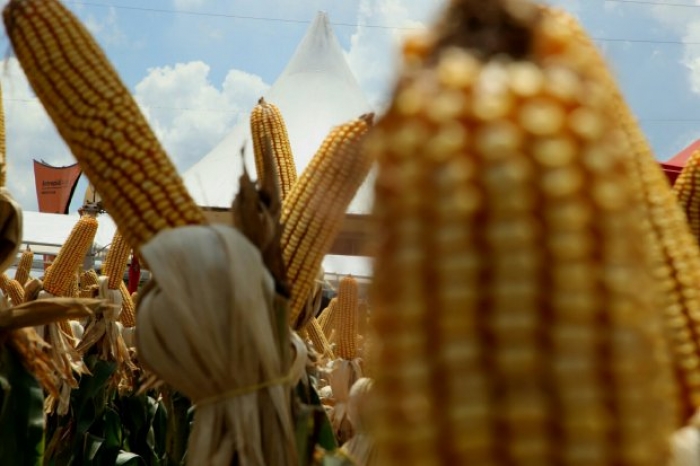 Foto: James Tavares/Secom